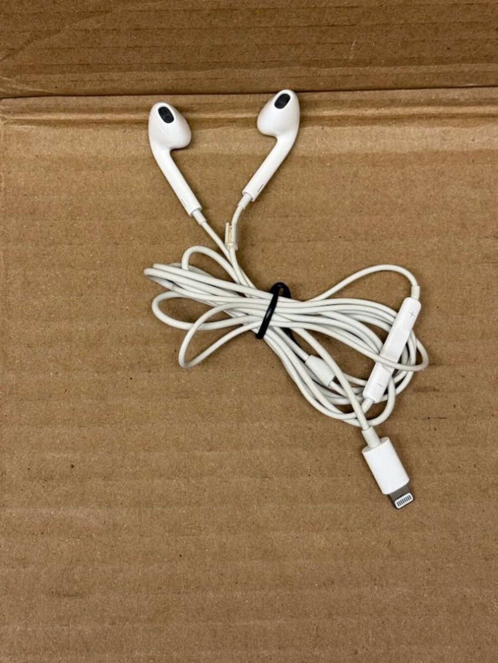 Apple Lightning Headphones (New Condition)